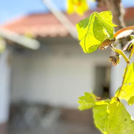 Holiday home Casinha Da Serra Correeira