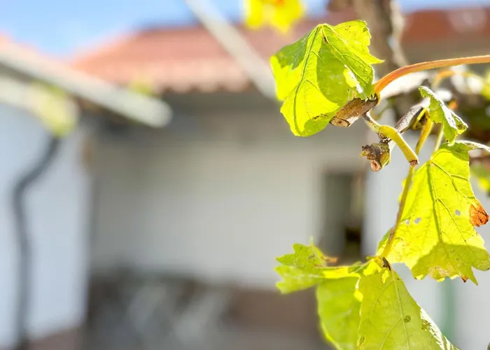 Tatil Evi Casinha Da Serra Vilar (Lisbon)
